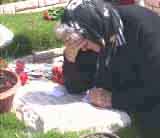 ��� ������