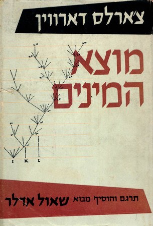 ��� ���� ���� ������ ��� �'���� ������