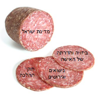 
���� ������