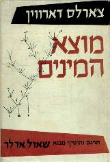 ���� ������