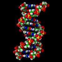 
������� �� DNA