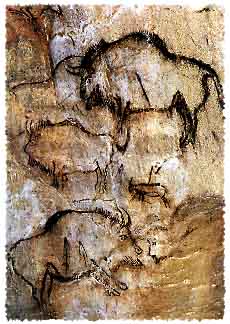 
���� ������� �����������, ���� �����, ����