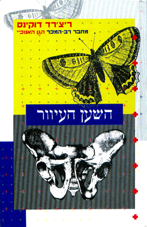 ���� ������