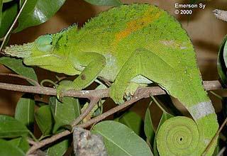 ����� ����� ��� �� ����